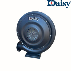 quat ly tam thoi so daisy